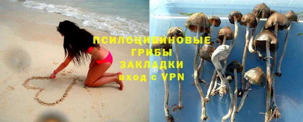 прущая мука Абаза