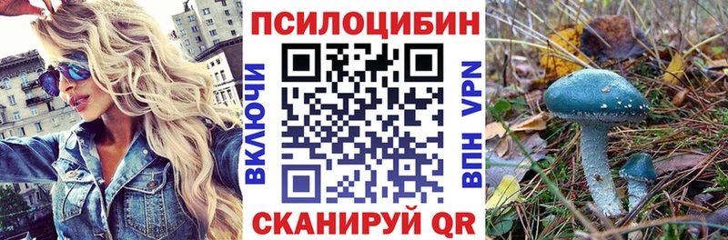 Псилоцибиновые грибы мицелий  Сураж 